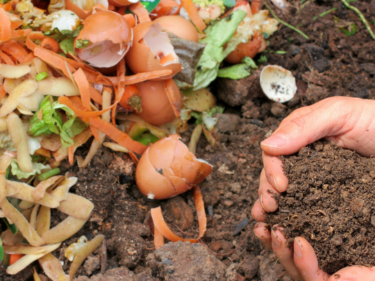 Composting